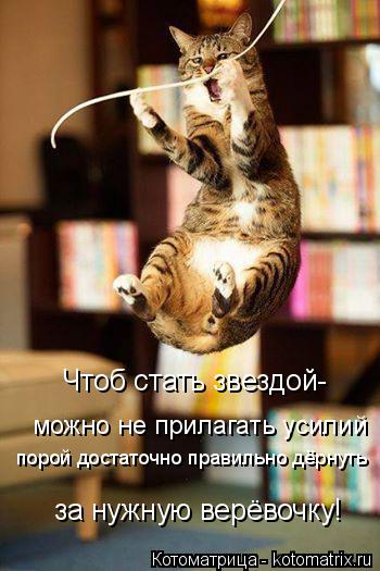 Чтоб стать звездой- можно не прилагать усилий порой достаточно правильно дёрнуть за нужную верёвочку... Котоматрица: Чтоб стать звездой- можно не прилагать усилий порой достаточно правильно дёрнуть за нужную верёвочку!