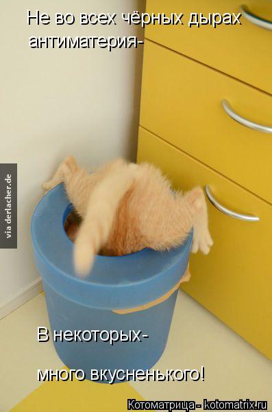 Не во всех чёрных дырах антиматерия- В некоторых- много вкусненького!... Котоматрица: Не во всех чёрных дырах антиматерия- В некоторых- много вкусненького!