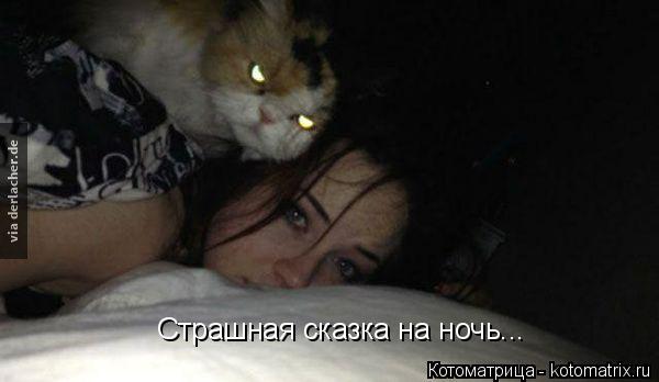 Страшная сказка на ночь...... Котоматрица: Страшная сказка на ночь...