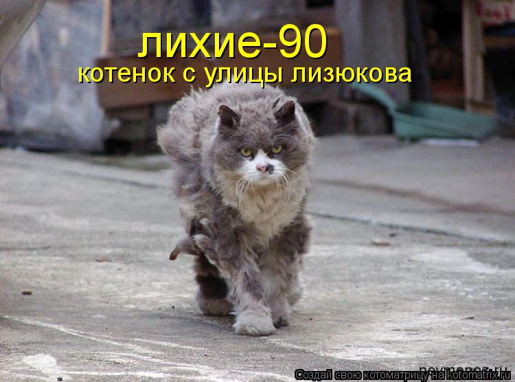 лихие-90 котенок с улицы лизюкова... Котоматрица: лихие-90 котенок с улицы лизюкова