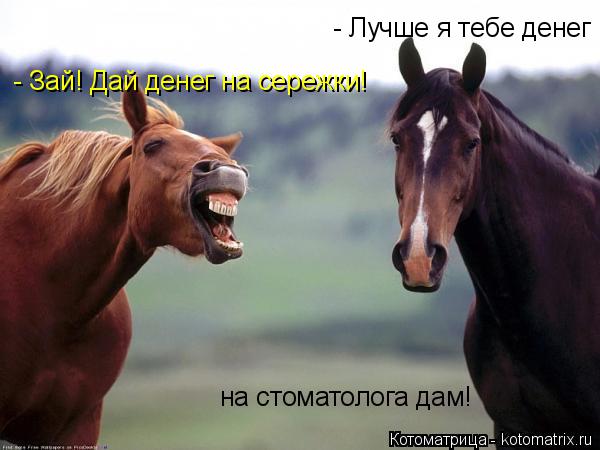 - Зай! Дай денег на сережки! - Лучше я тебе денег на стоматолога дам!... Котоматрица: - Зай! Дай денег на сережки! - Лучше я тебе денег на стоматолога дам!