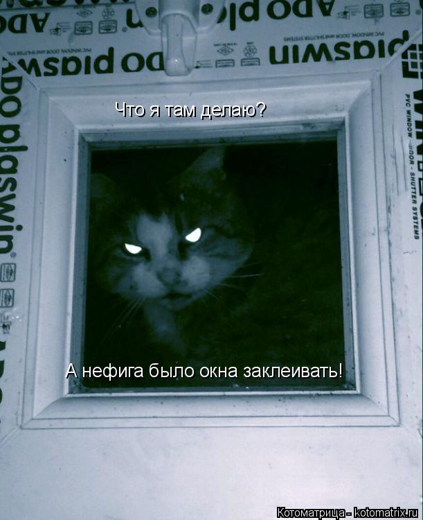 Что я там делаю? А нефига было окна заклеивать!... Котоматрица: Что я там делаю? А нефига было окна заклеивать!