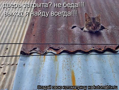 Котоматрица: дверь закрыта? не беда!!! выход я найду всегда!!!