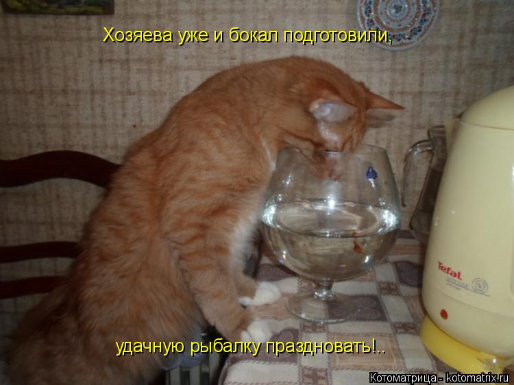 Хозяева уже и бокал подготовили, удачную рыбалку праздновать!..... Котоматрица: Хозяева уже и бокал подготовили, удачную рыбалку праздновать!..