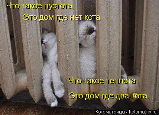 Что такое пустота Это дом где нет кота Что такое теплота Это дом где два кота...... Котоматрица: Что такое пустота Это дом где нет кота Что такое теплота Это дом где два кота...