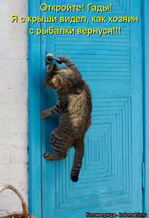 Котоматрица: Откройте! Гады!  Я с крыши видел, как хозяин  с рыбалки вернуся!!!