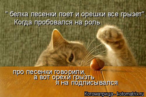 " белка песенки поет и орешки все грызет"... Когда пробовался на роль про песенки говорили, а вот оре... Котоматрица: " белка песенки поет и орешки все грызет"... Когда пробовался на роль про песенки говорили, а вот орехи грызть я на подписывался