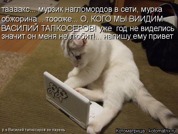 Котоматрица: таааакс... мурзик нагломордов в сети, мурка обжорина... тоооже... О, КОГО МЫ ВИИДИМ  ВАСИЛИЙ ТАПКОСЕРОВ! уже  год не виделись значит он меня не л