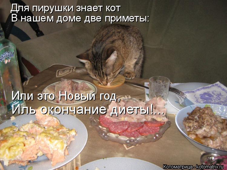 Котоматрица: Для пирушки знает кот В нашем доме две приметы: Или это Новый год, Иль окончание диеты!...