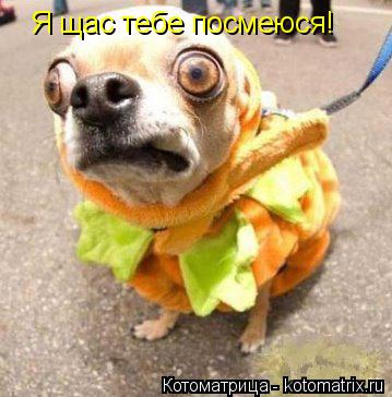 Я щас тебе посмеюся!... Котоматрица: Я щас тебе посмеюся!