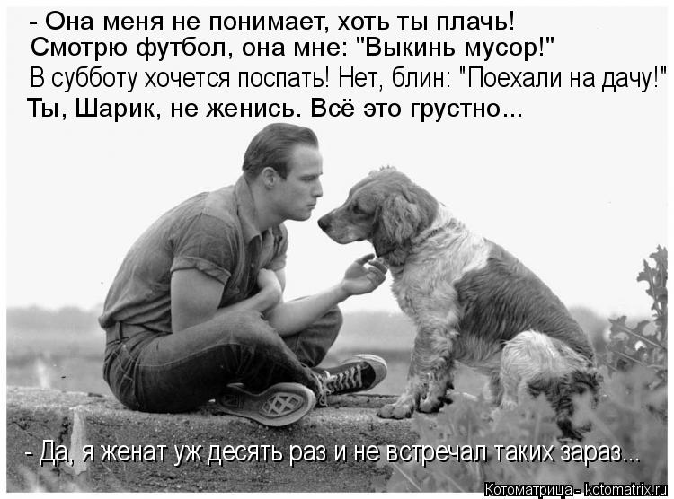 Котоматрица: Смотрю футбол, она мне: "Выкинь мусор!" В субботу хочется поспать! Нет, блин: "Поехали на дачу!" Ты, Шарик, не женись. Всё это грустно... - Да, я жен