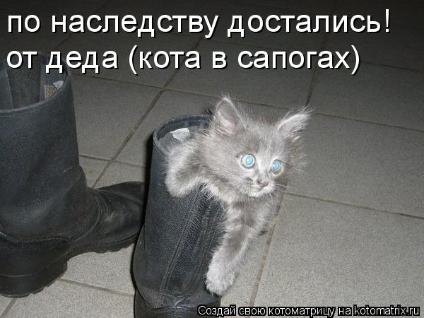 по наследству достались! от деда (кота в сапогах)... Котоматрица: по наследству достались! от деда (кота в сапогах)