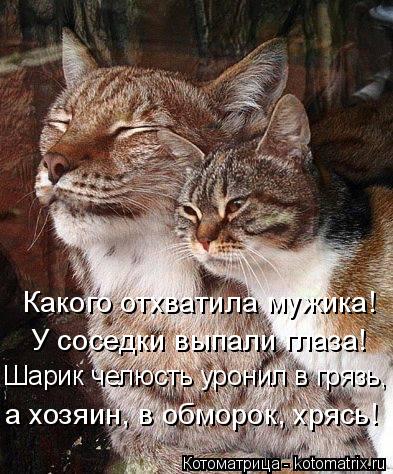 Котоматрица: Какого отхватила мужика! У соседки выпали глаза! Шарик челюсть уронил в грязь, а хозяин, в обморок, хрясь!