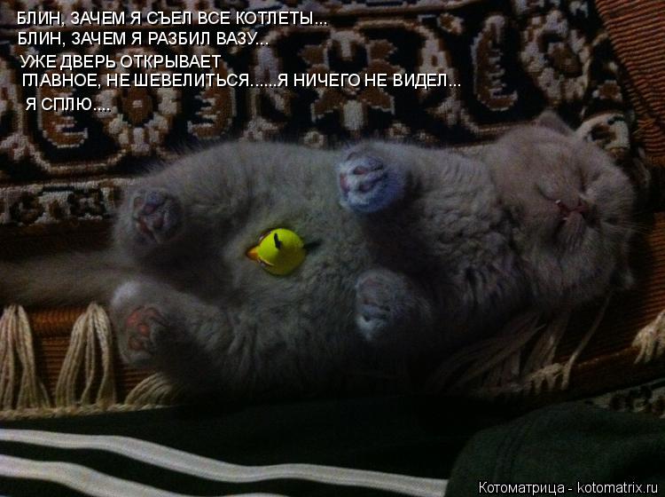 Котоматрица: БЛИН, ЗАЧЕМ Я СЪЕЛ ВСЕ КОТЛЕТЫ... БЛИН, ЗАЧЕМ Я РАЗБИЛ ВАЗУ... УЖЕ ДВЕРЬ ОТКРЫВАЕТ ГЛАВНОЕ, НЕ ШЕВЕЛИТЬСЯ......Я НИЧЕГО НЕ ВИДЕЛ... Я СПЛЮ....