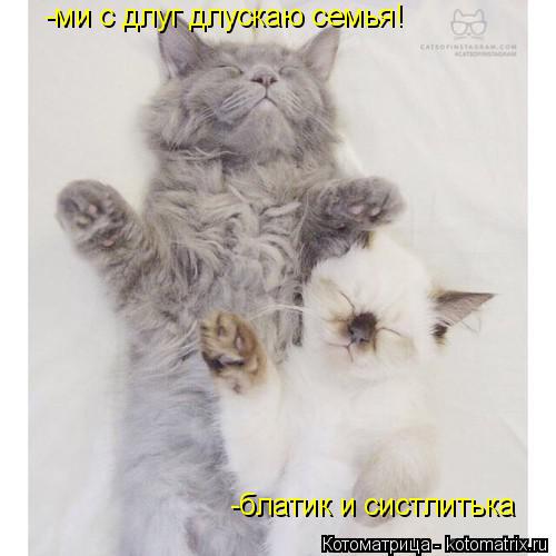 Котоматрица: -ми с длуг длускаю семья! -блатик и систлитька
