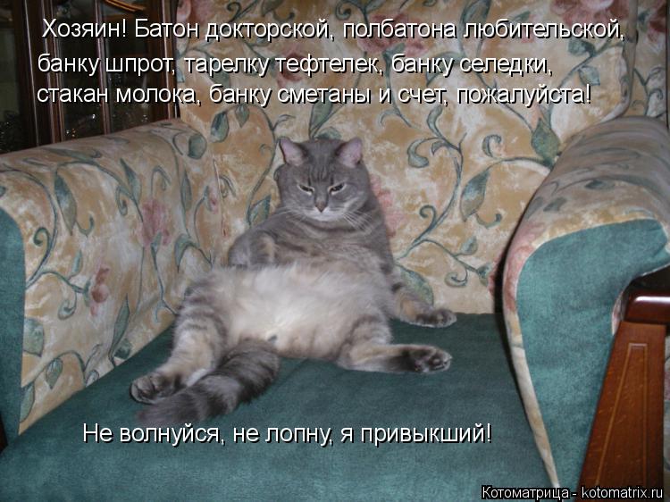 Хозяин! Батон докторской, полбатона любительской, банку шпрот, тарелку тефтелек, банку селедки, ста... Котоматрица: Хозяин! Батон докторской, полбатона любительской, банку шпрот, тарелку тефтелек, банку селедки, стакан молока, банку сметаны и счет, пожалу