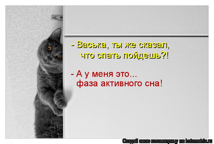 Котоматрица: - Васька, ты же сказал,  что спать пойдешь?! - А у меня это...  фаза активного сна!