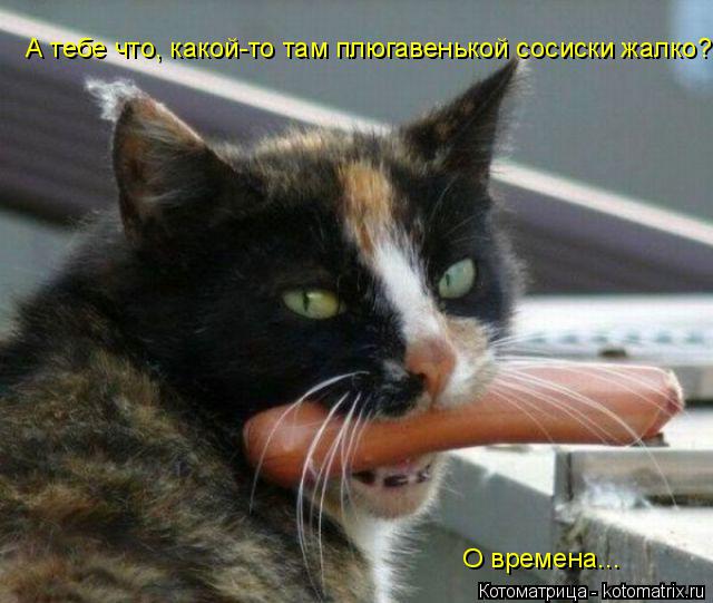 А тебе что, какой-то там плюгавенькой сосиски жалко? О времена...... Котоматрица: А тебе что, какой-то там плюгавенькой сосиски жалко? О времена...