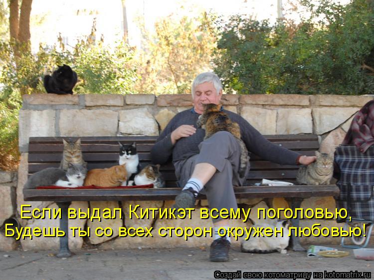 Котоматрица: Если выдал Китикэт всему поголовью, Будешь ты со всех сторон окружен любовью!
