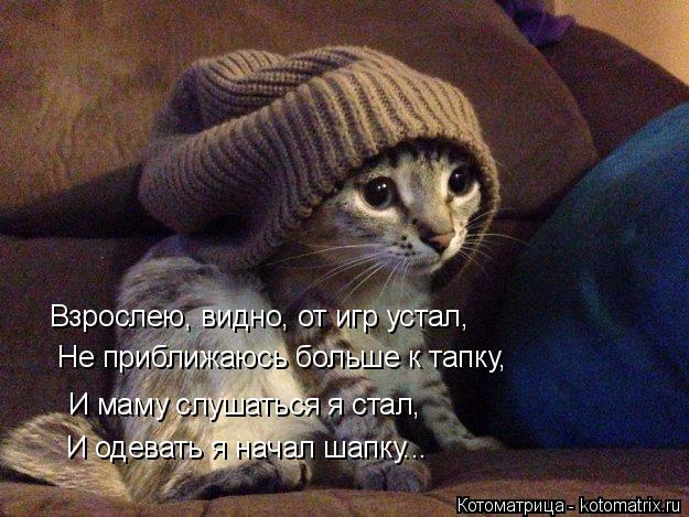 Котоматрица: Взрослею, видно, от игр устал, Не приближаюсь больше к тапку, И маму слушаться я стал, И одевать я начал шапку...