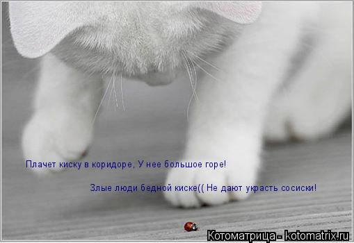 Плачет киску в коридоре, У нее большое горе! Злые люди бедной киске(( Не дают украсть сосиски!... Котоматрица: Плачет киску в коридоре, У нее большое горе! Злые люди бедной киске(( Не дают украсть сосиски!