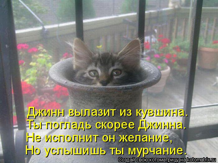 Котоматрица: Но услышишь ты мурчание. Не исполнит он желание, Ты погладь скорее Джинна. Джинн вылазит из кувшина.