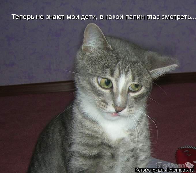 Теперь не знают мои дети, в какой папин глаз смотреть...... Котоматрица: Теперь не знают мои дети, в какой папин глаз смотреть...