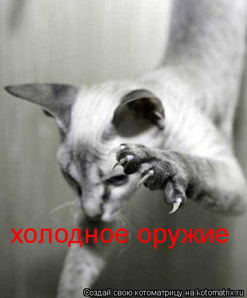 холодное оружие... Котоматрица: холодное оружие