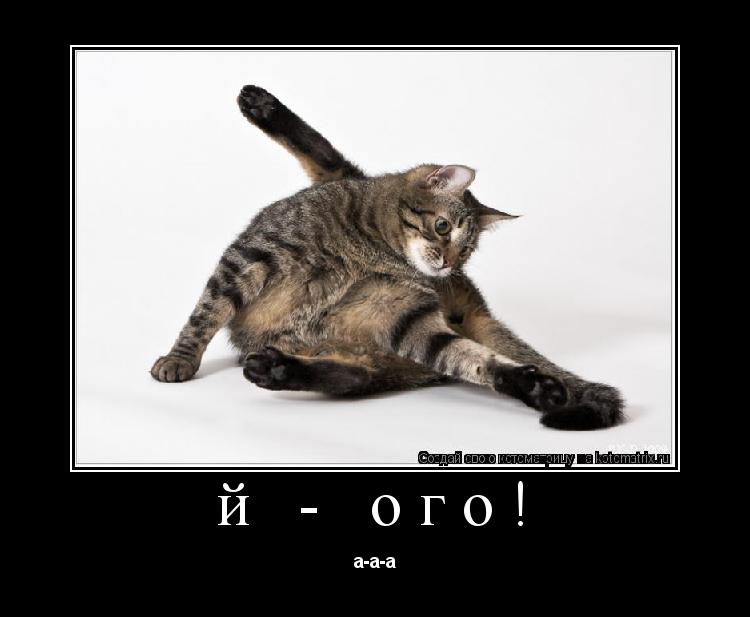 Котоматрица: й - ого! а-а-а