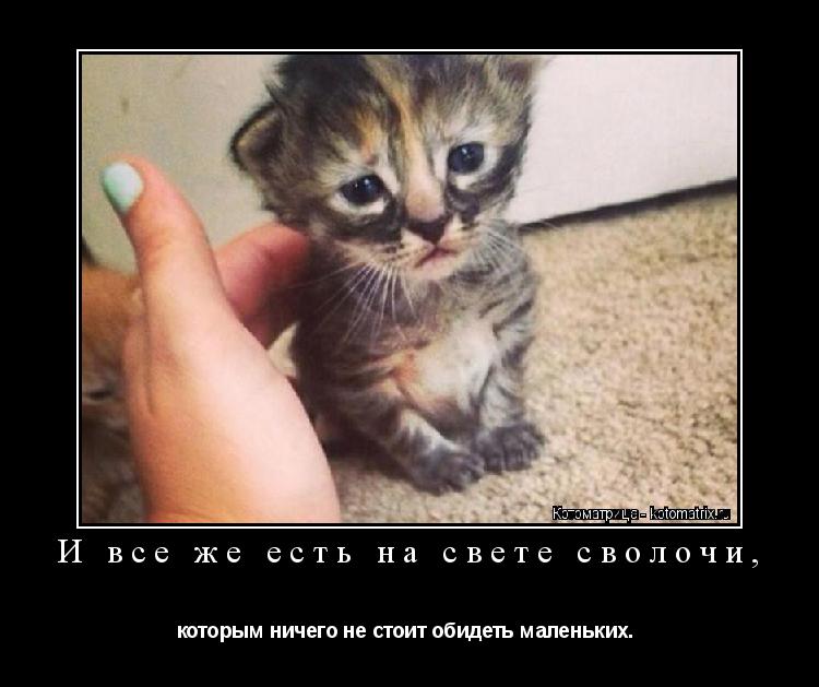 И все же есть на свете сволочи, которым ничего не стоит обидеть маленьких. ... Котоматрица: И все же есть на свете сволочи, которым ничего не стоит обидеть маленьких.
