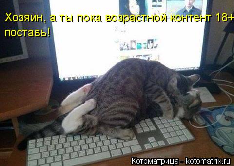 Хозяин, а ты пока возрастной контент 18+ поставь!... Котоматрица: Хозяин, а ты пока возрастной контент 18+ поставь!