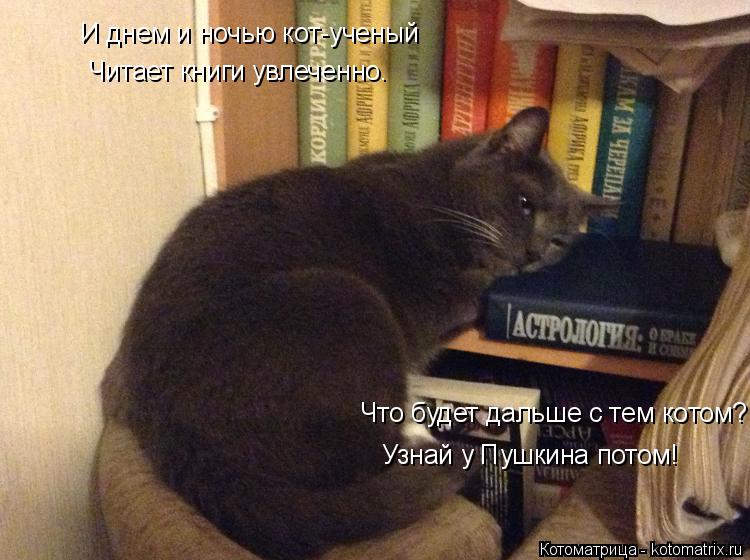 И днем и ночью кот-ученый Читает книги увлеченно. Что будет дальше с тем котом? Узнай у Пушкина потом... Котоматрица: И днем и ночью кот-ученый Читает книги увлеченно. Что будет дальше с тем котом? Узнай у Пушкина потом!