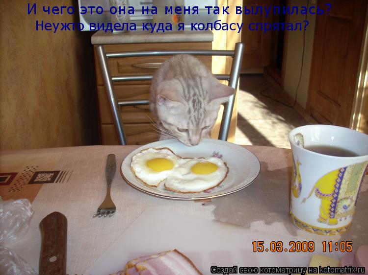 Котоматрица: И чего это она на меня так вылупилась? Неужто видела куда я колбасу спрятал?