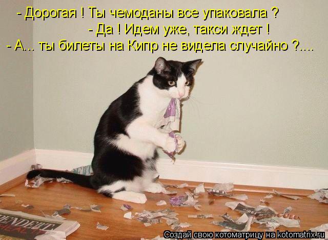 Котоматрица: - Дорогая ! Ты чемоданы все упаковала ? - Да ! Идем уже, такси ждет ! - А... ты билеты на Кипр не видела случайно ?....