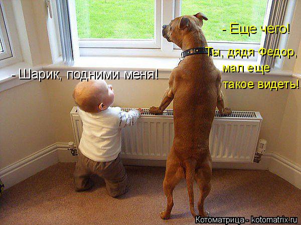 - Шарик, подними меня! - Еще чего! Ты, дядя Федор, мал еще такое видеть!... Котоматрица: - Шарик, подними меня! - Еще чего! Ты, дядя Федор, мал еще такое видеть!