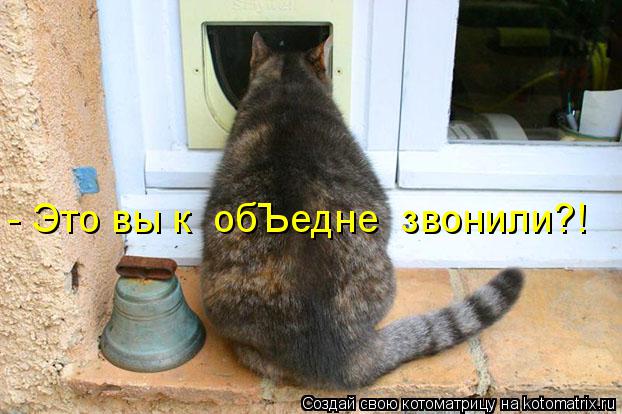 - Это вы к обЪедне звонили?!... Котоматрица: - Это вы к обЪедне звонили?!