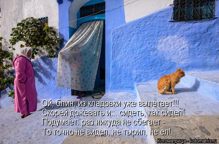 Ой, блин, из кладовки уже вылетает!!! Скорей дожевать и... сидеть, как сидел! Подумает: раз никуда не... Котоматрица: Ой, блин, из кладовки уже вылетает!!! Скорей дожевать и... сидеть, как сидел! Подумает: раз никуда не сбегает - То точно не видел, не тырил, не ел!