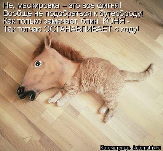 Не, маскировка – это всё фигня! Вообще не подобраться к бутерброду! Как только замечает, блин, КОНЯ -... Котоматрица: Не, маскировка – это всё фигня! Вообще не подобраться к бутерброду! Как только замечает, блин, КОНЯ - Так тотчас ОСТАНАВЛИВАЕТ с ходу!