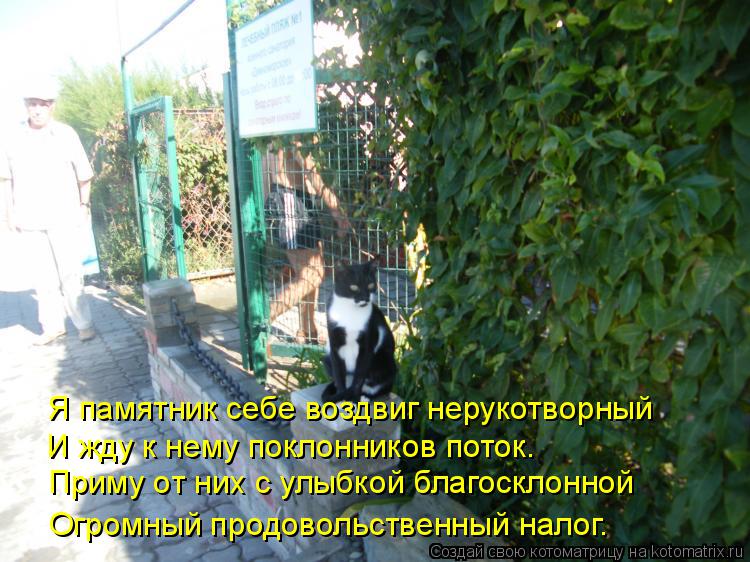 Приму от них с улыбкой благосклонной Огромный продовольственный налог. Я памятник себе воздвиг неруко... Котоматрица: Приму от них с улыбкой благосклонной Огромный продовольственный налог. Я памятник себе воздвиг нерукотворный И жду к нему поклонников пот