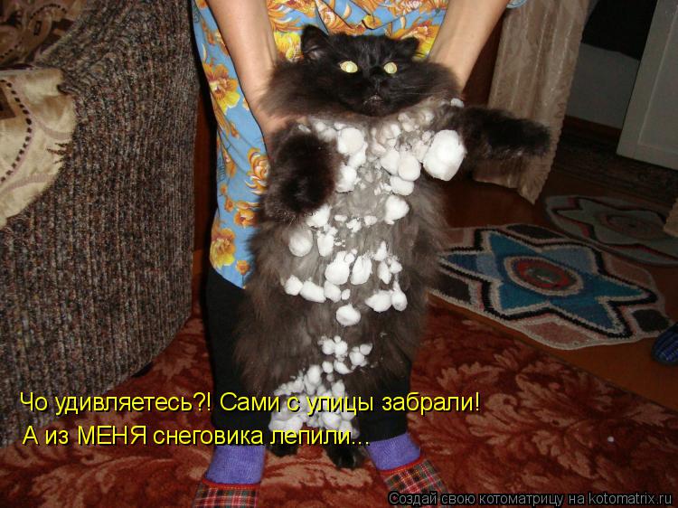 Котоматрица: Чо удивляетесь?! Сами с улицы забрали! А из МЕНЯ снеговика лепили...