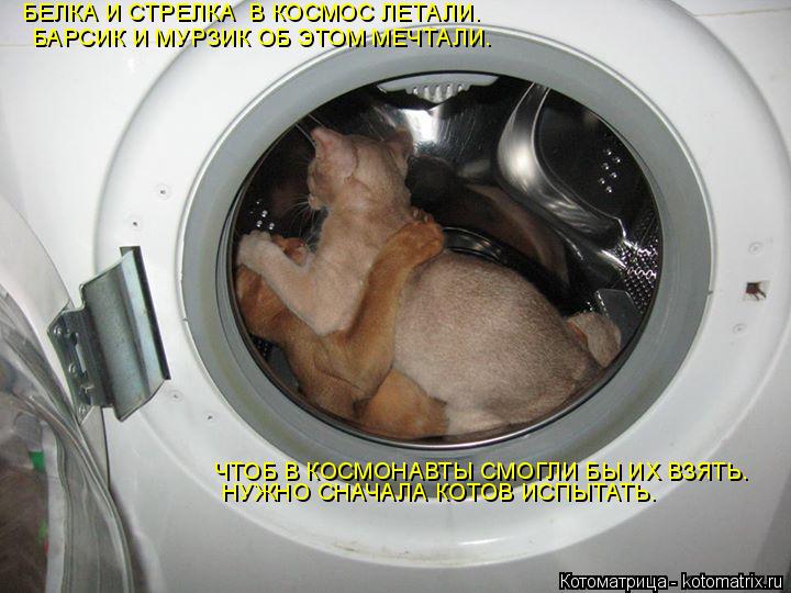 БЕЛКА И СТРЕЛКА В КОСМОС ЛЕТАЛИ. БАРСИК И МУРЗИК ОБ ЭТОМ МЕЧТАЛИ. ЧТОБ В КОСМОНАВТЫ СМОГЛИ БЫ ИХ ВЗЯ... Котоматрица: БЕЛКА И СТРЕЛКА В КОСМОС ЛЕТАЛИ. БАРСИК И МУРЗИК ОБ ЭТОМ МЕЧТАЛИ. ЧТОБ В КОСМОНАВТЫ СМОГЛИ БЫ ИХ ВЗЯТЬ. НУЖНО СНАЧАЛА КОТОВ ИСПЫТАТЬ.