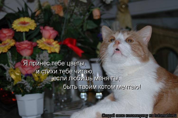 Картинка я принёс тебе цветок Картинка я принёс тебе цветок