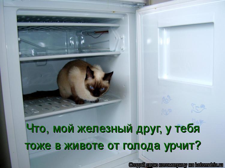 Котоматрица: Что, мой железный друг, у тебя тоже в животе от голода урчит?