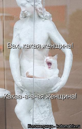 Вах, какая женщина! Какаа-а-а-ая женщина!... Котоматрица: Вах, какая женщина! Какаа-а-а-ая женщина!