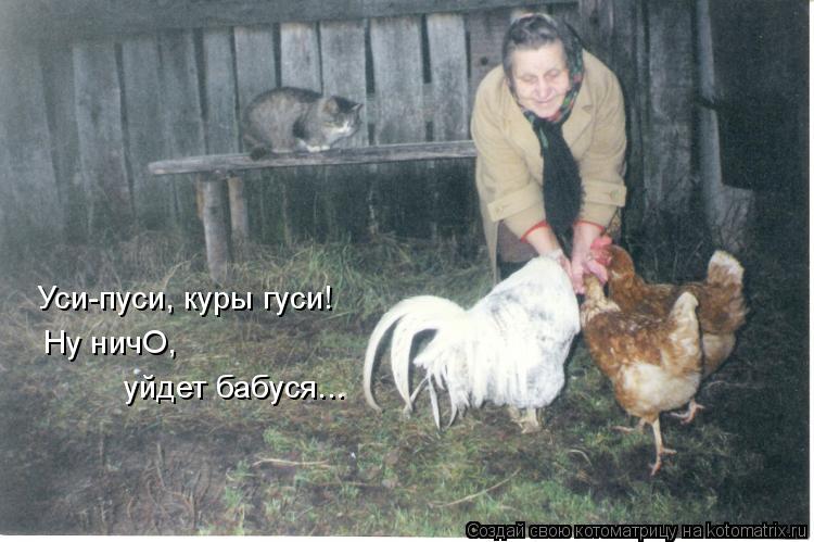 Котоматрица: Уси-пуси, куры гуси! Ну ничО, уйдет бабуся...