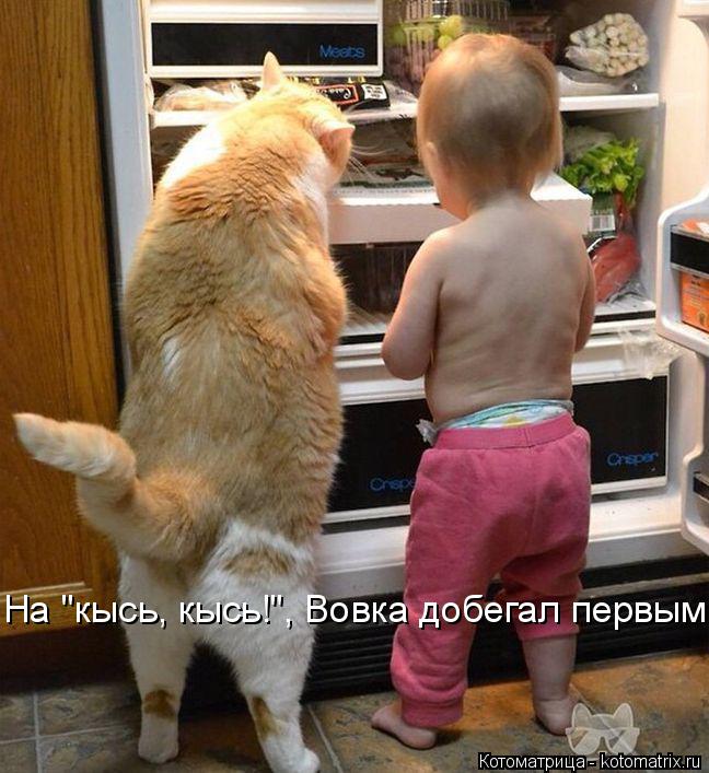 На "кысь, кысь!", Вовка добегал первым!... Котоматрица: На "кысь, кысь!", Вовка добегал первым!