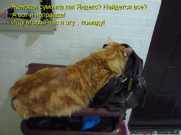 Женская сумочка как Яндекс? Найдется все? А вот и неправда! Ищу второй час я эту... помаду!... Котоматрица: Женская сумочка как Яндекс? Найдется все? А вот и неправда! Ищу второй час я эту... помаду!