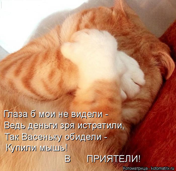 Глаза б мои не видели - Ведь деньги зря истратили, Так Васеньку обидели - Купили мышь! В ПРИЯТЕЛ... Котоматрица: Глаза б мои не видели - Ведь деньги зря истратили, Так Васеньку обидели - Купили мышь! В ПРИЯТЕЛИ!