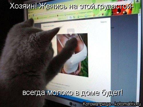 Хозяин! Женись на этой,грудастой- всегда молоко в доме будет!... Котоматрица: Хозяин! Женись на этой,грудастой- всегда молоко в доме будет!