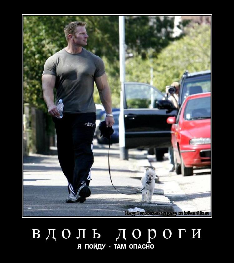 Котоматрица: вдоль дороги  Я  ПОЙДУ  -  ТАМ  ОПАСНО 